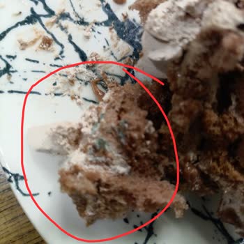 Hediye Olarak Aldığım Yaş Pasta Küflü Çıktı Market Sorumluluğu Kabul Etmedi