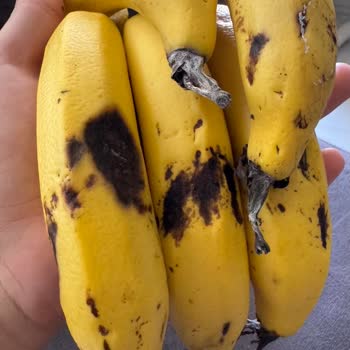 Migros Sanal Marketten Küflü Ve Ezik Muzlar Teslim Edildi!