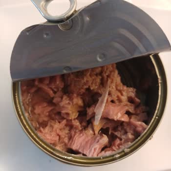 Ton Balığında Kılçık Benzeri Madde Tehlikesi Ve İade Talebi