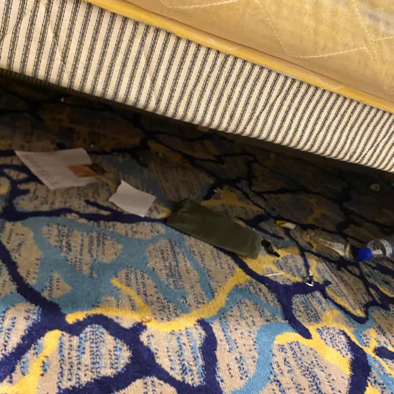 Şükür Turizm Umre Seyahatimde Kötü Otel Ve İlgisiz Rehber Deneyimi