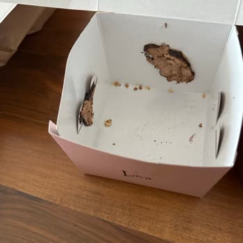 Pasta Siparişim Özensiz Paketlendi, Çözüm Sunulmadı