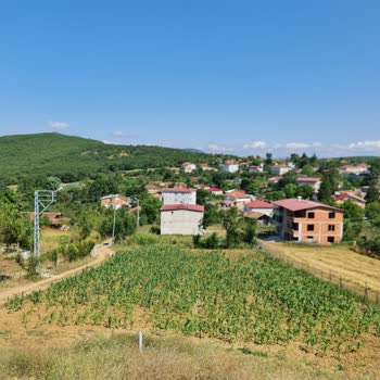 Note 20 Ultra Uzak Çekimde Odaklama Sorunu Canımı Sıkıyor