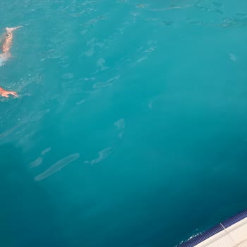 Aquaparkta Hijyen, Yemek Ve Personel Sorunları Müşteri Deneyimini Olumsuz Etkiliyor