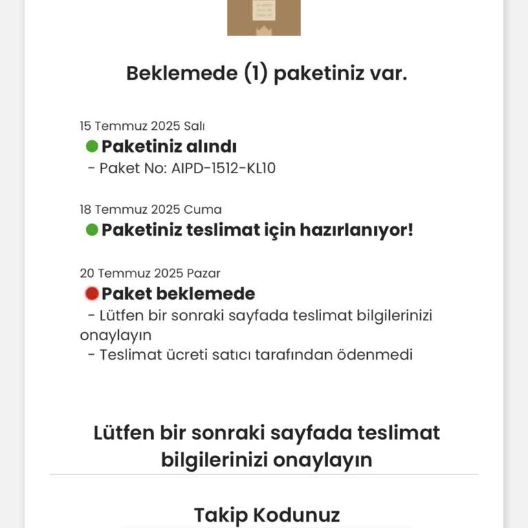 Adıma Gelen Sahte Kargo Mailleri Ve Bilgi Güvenliği Endişesi