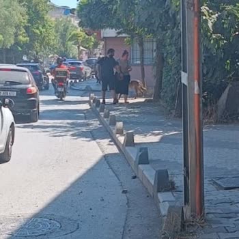 Sabah Yürüyüşlerimiz Korkuya Dönüştü: Güvende Hissetmiyoruz