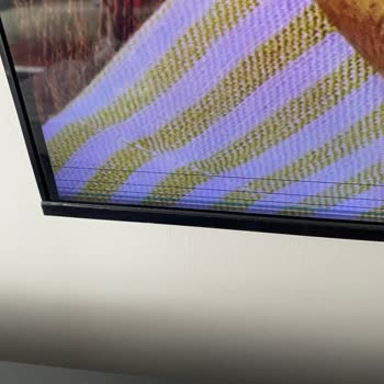 Samsung QLED TV Ekranında Tekrarlayan Arıza ve Garanti Belirsizliği