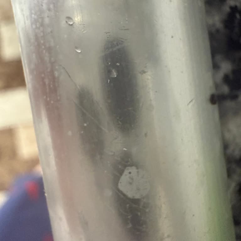 Yağ Çözücü Metal Dolapta Kalıcı Beyaz Lekeler Bıraktı