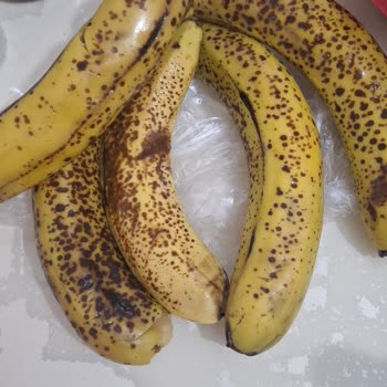 Bozuk Muz Ve Açılmış Dondurma Gönderildi