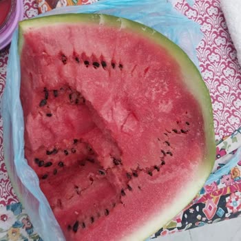 Bosch Buzdolabında +4 Derecede Ürünler Donuyor Çözüm Bulunamıyor