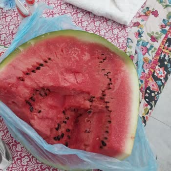 Bosch Buzdolabında +4 Derecede Ürünler Donuyor Çözüm Bulunamıyor