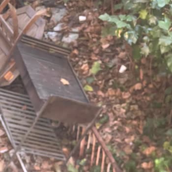 Talia Beach Hotel | Erdek Pişmanlık Oldu