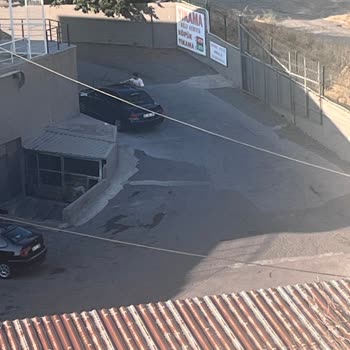 Çorlu'daki Oto Yıkamada Köpek Gürültüsü Ve İlgisizlik Hayatımı Olumsuz Etkiliyor