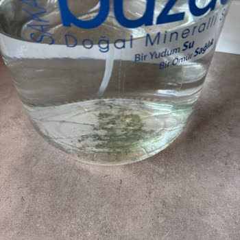 Cam Damacanada Kısa Sürede Oluşan Yosun Endişesi