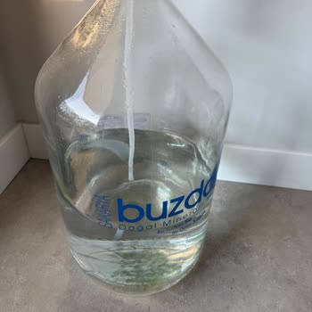 Cam Damacanada Kısa Sürede Oluşan Yosun Endişesi