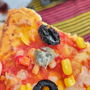 Dondurulmuş Pizza İçinden Yabancı Madde Çıktı