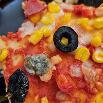 Dondurulmuş Pizza İçinden Yabancı Madde Çıktı