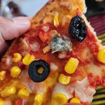 Dondurulmuş Pizza İçinden Yabancı Madde Çıktı