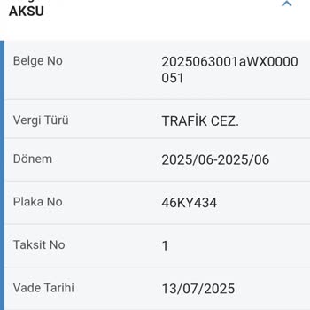 Ödediğim Trafik Cezası Gelir İdaresi'nde Hâlâ Görünüyor