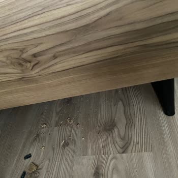 Yeni Alınan Karyola Teslimat Sonrası Kırıldı, Kullanıcı Hatası Denildi