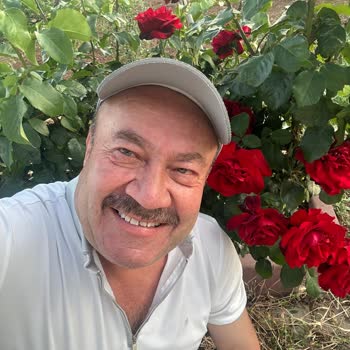 Hesabım Nedensiz Kapatıldı, Suçumun Açıklanmasını Ve Geri Açılmasını İstiyorum