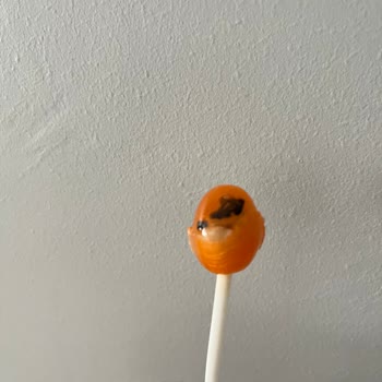 Çocuk Ürününde Yabancı Madde Şoku