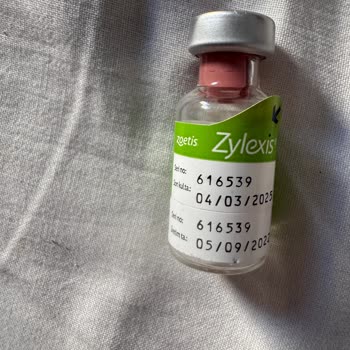 Eyüpsultan Veteriner Kliniği Hayvanların Sağlığını İhmal Ediyor