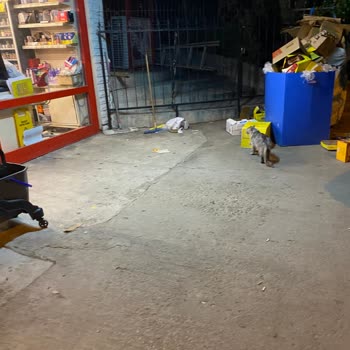 Şok Market'te Saygısız Personel Ve Hijyen Sorunları