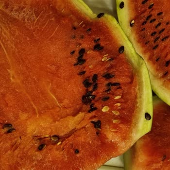 Migros'tan Aldığım Karpuz Çürük Çıktı, Param Çöpe Gitti