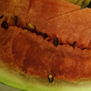 Migros'tan Aldığım Karpuz Çürük Çıktı, Param Çöpe Gitti