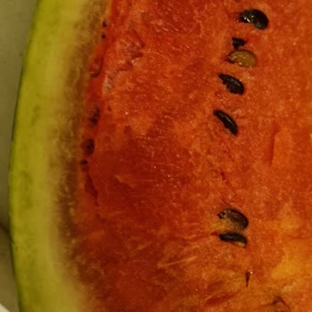 Migros'tan Aldığım Karpuz Çürük Çıktı, Param Çöpe Gitti