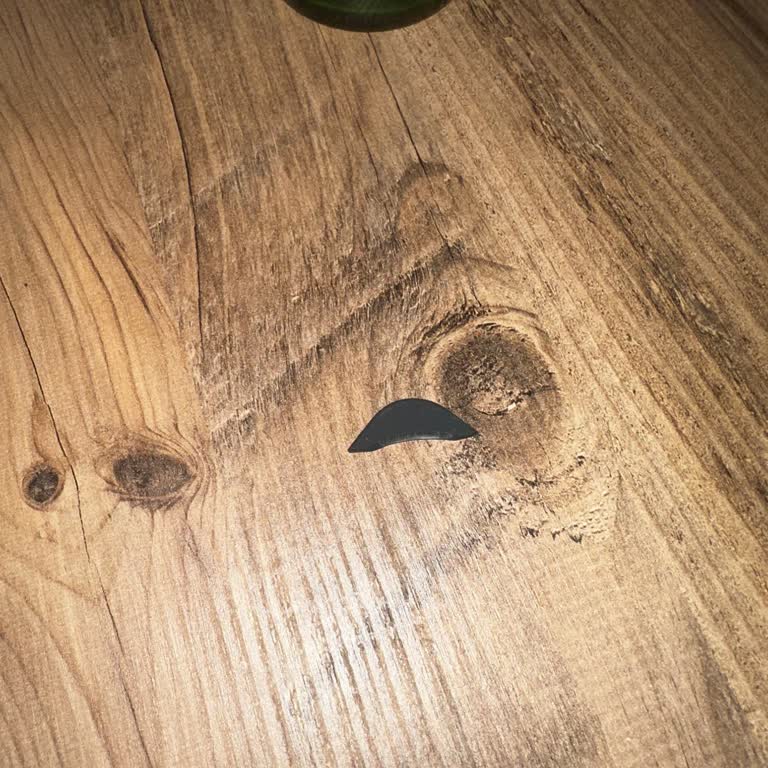 Carlsberg Birada Plastik Parçası Buldum Şok Oldum