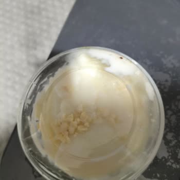 Küncü Fırın Siparişim Dökülmüş Ve Bozulmuş Geldi, Şube Personeli İlgisiz Davrandı!