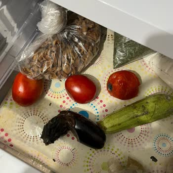 Dört Yıllık Beko Buzdolabında Bitmeyen Arızalar Ve Haksız Değişim Ücreti