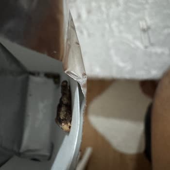 Sigara Paketinde Hijyen Sorunu Ve Yabancı Madde