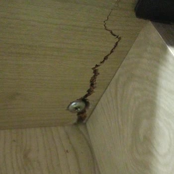 Garanti Kapsamındaki Koltukta Vida Ayrıklığına Çözüm Bulunmuyor