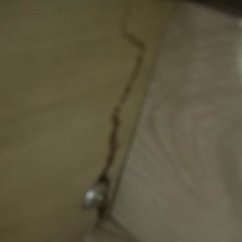 Garanti Kapsamındaki Koltukta Vida Ayrıklığına Çözüm Bulunmuyor