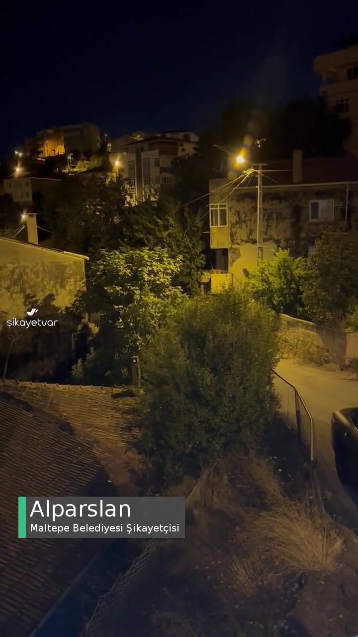 Maltepe Belediyesi Hayvanlara Zarar Vermeden Önlem Alınmalı! videonun kapak resmi