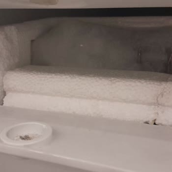 Bosch Buzdolabında Yıllardır Çözülmeyen Arıza