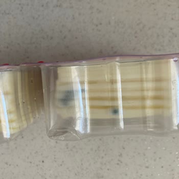 Aldığım Tost Peyniri Kısa Sürede Bozuldu, Mağduriyetimin Giderilmesini İstiyorum