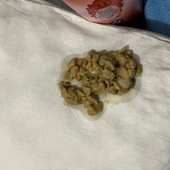 Royal Mama Nedeniyle Yavru Köpeğimin Sağlığı Tehlikede