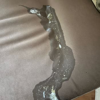 Royal Mama Nedeniyle Yavru Köpeğimin Sağlığı Tehlikede