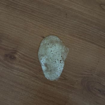 Royal Mama Nedeniyle Yavru Köpeğimin Sağlığı Tehlikede