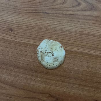 Royal Mama Nedeniyle Yavru Köpeğimin Sağlığı Tehlikede