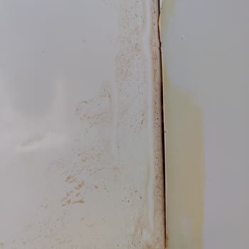 Garanti Kapsamındaki Derin Dondurucumun Arızası Ve Servis Sürecinde Yaşadığım Mağduriyet