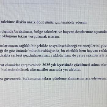 İçmeler Mahallesi'nde Acil Köpek Parkı İhtiyacı Ve Talebin Ertelenmesi