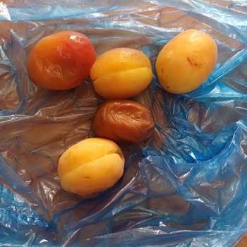 Arçelik'in Uzayan Buzdolabı Sorunu Ve Yetersiz Çözüm Süreci