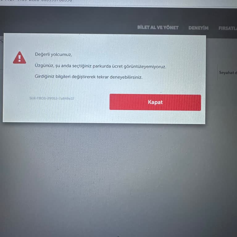 Turkish Airlines klaut Kabinengepäck und verweigert flexible Ticketänderung