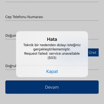 Yatırım Finansman Seans Açılışında Sisteme Girememe ve Yetersiz Destek