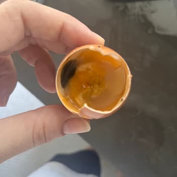 Bozuk Yumurtalar İçin İade Sürecinde Mağduriyet Yaşadım