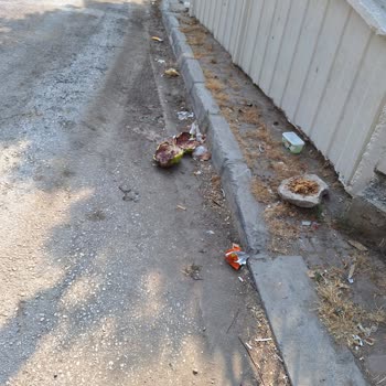 Mersin Büyükşehir Belediyesi Çöplerin Alınmaması